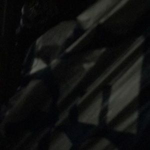 Meet your Posher, Roy